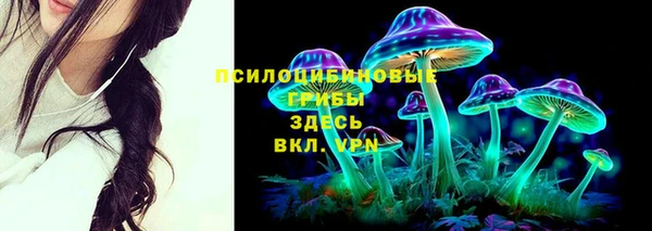 гашик Арсеньев