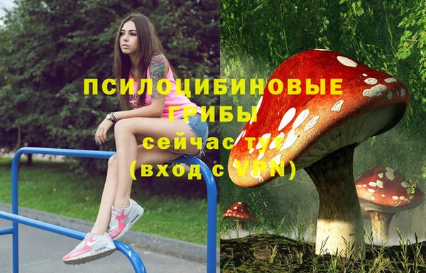 дживик Алексин