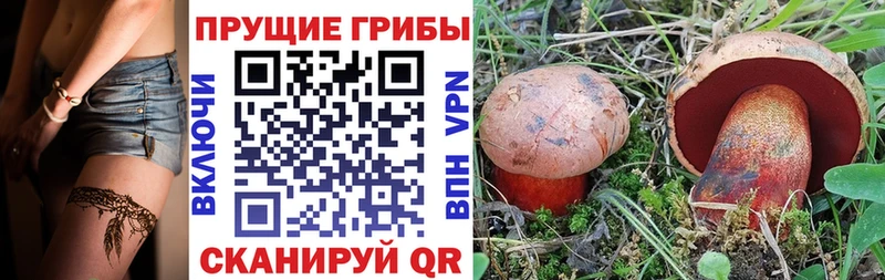 как найти закладки  Новошахтинск  Псилоцибиновые грибы MAGIC MUSHROOMS 